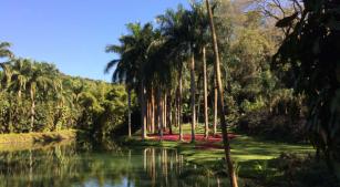 Inhotim, em Brumadinho, Minas Gerais [Revista CONCERTO]