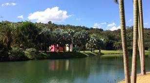 Vista do museu-parque Inhotim, em Brumadinho (Revista CONCERTO, 2019)